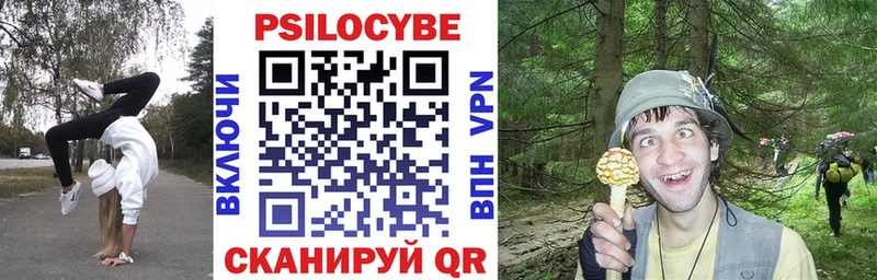 Галлюциногенные грибы Psilocybe  наркошоп  Кимовск 