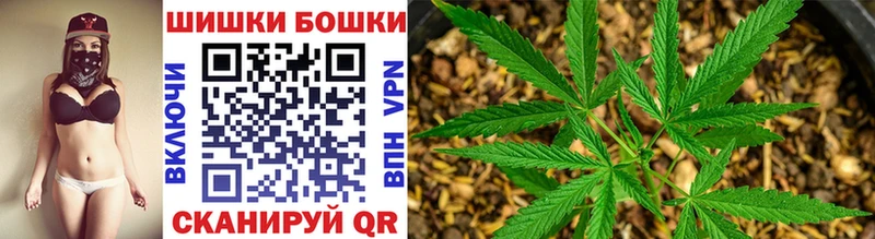 Канабис планчик  купить наркоту  Кимовск 
